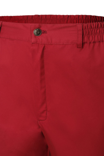 Брюки LINDRED (ЛИНДРЕД) ОРИОН мужские бордо