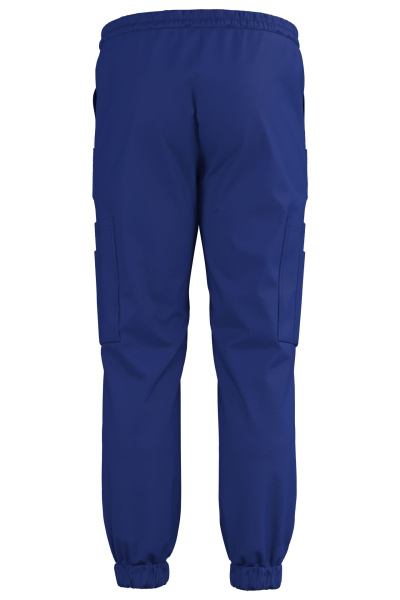 Джоггеры Эргофайв Актив (ERGOFIVE Active) EAPU03 василек