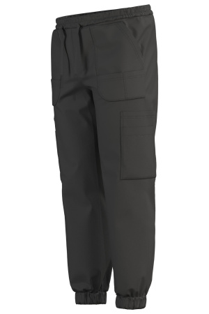 Джоггеры Эргофайв Актив (ERGOFIVE Active) EAPU03 т.серые