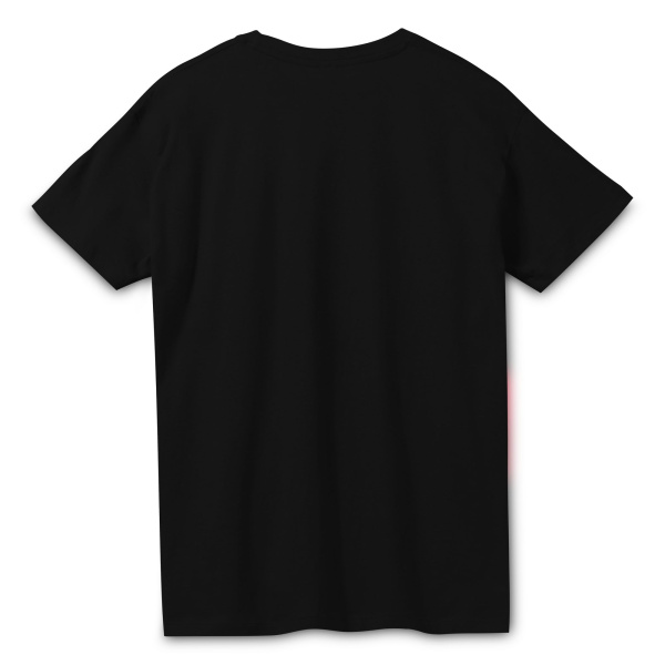 Футболка Regent 150, черный