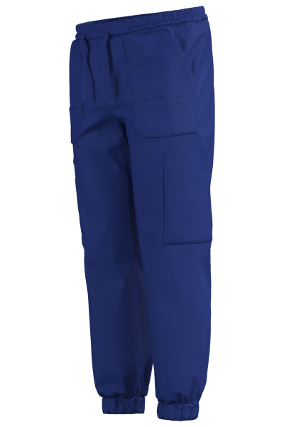 Джоггеры Эргофайв Актив (ERGOFIVE Active) EAPU03 василек