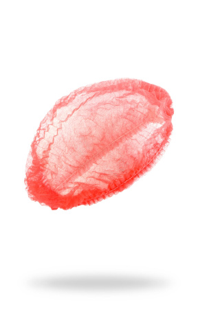 shapochka_sharlotta_setka_red_1.jpg