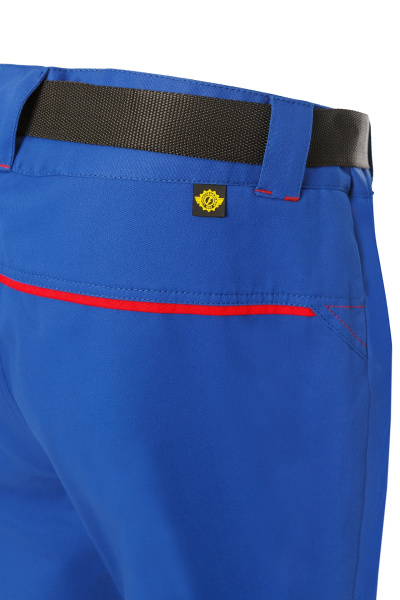 Брюки ТЕЙКЕР Металл фри василек/красные