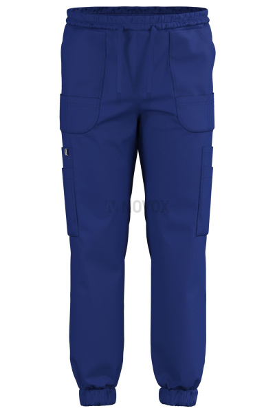 Джоггеры Эргофайв Актив (ERGOFIVE Active) EAPU03 василек