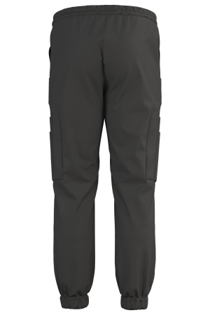 Джоггеры Эргофайв Актив (ERGOFIVE Active) EAPU03 т.серые