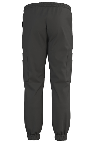 Джоггеры Эргофайв Актив (ERGOFIVE Active) EAPU03 т.серые