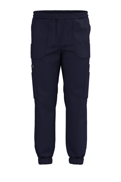 Джоггеры Эргофайв Актив (ERGOFIVE Active) EAPU03 т.синие