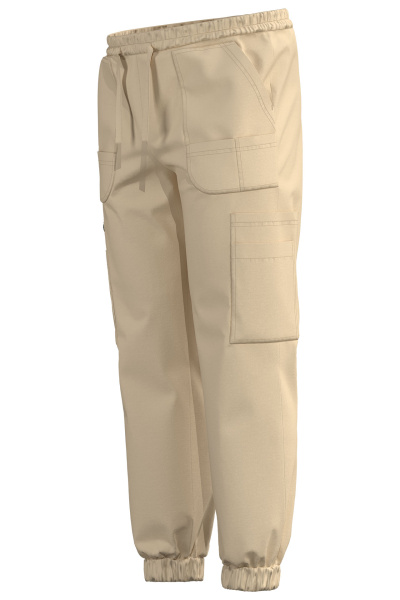 Джоггеры Эргофайв Актив (ERGOFIVE Active) EAPU03 серо-бежевые