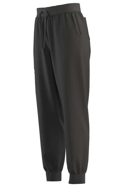 Джоггеры Эргофайв Актив (ERGOFIVE Active) EAPW05 женские т.серые