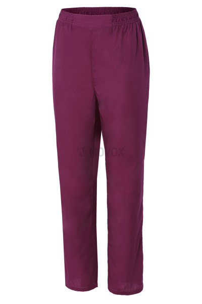 Брюки КЛИНПЛЕКС (CLINPLEX) ВИТА Лайт сливовые